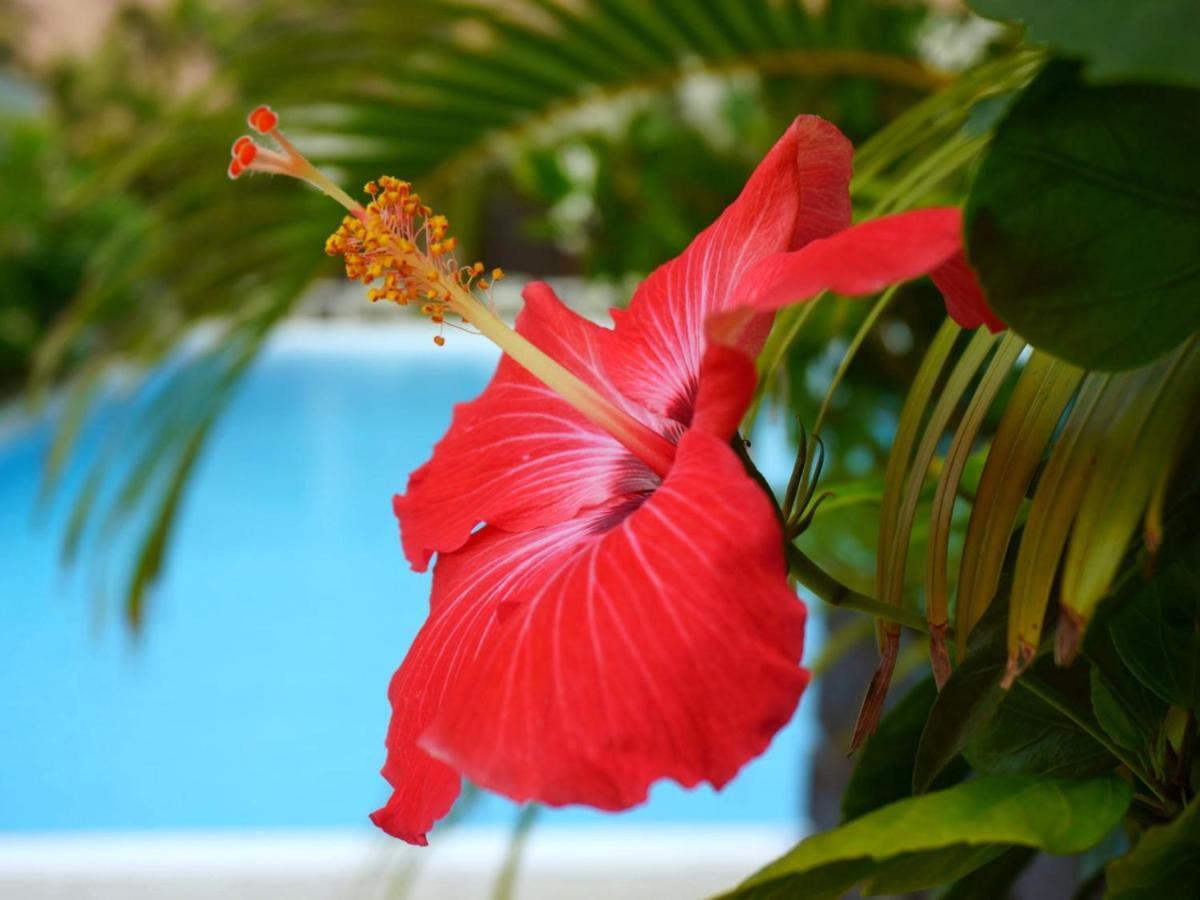 โฮเต็ล เซาเธิร์น วิลเลจ โอกินาวา Hotel Kitanakagusuku ภายนอก รูปภาพ